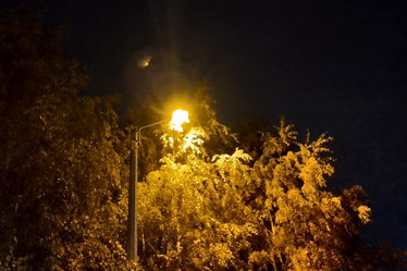 Similar image 21814278