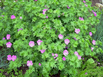 Similar image 21807850