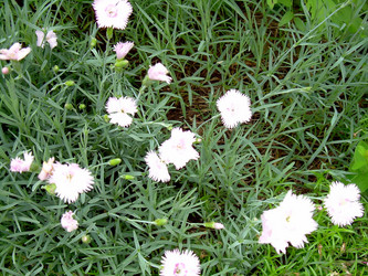 Similar image 21807852