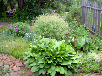 Similar image 21807853