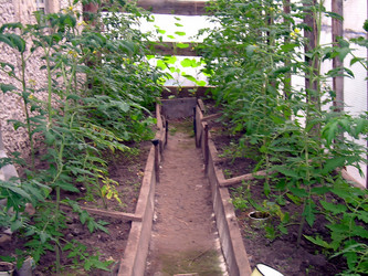 Similar image 21807854