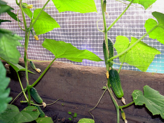 Similar image 21807855