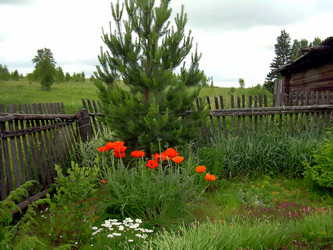 Similar image 21807858