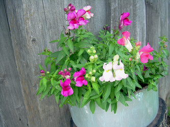 Similar image 21807861