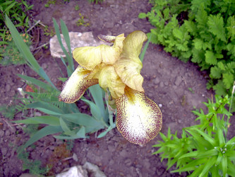 Similar image 21807864