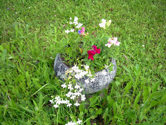 Similar image 21807866