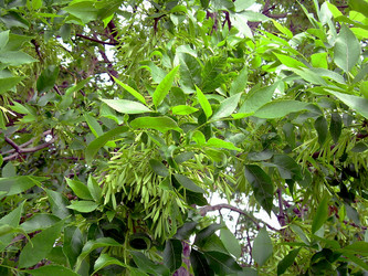 Similar image 21807872