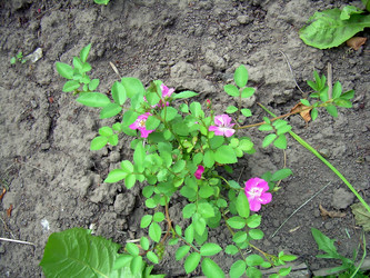 Similar image 21807874