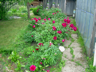 Similar image 21807876