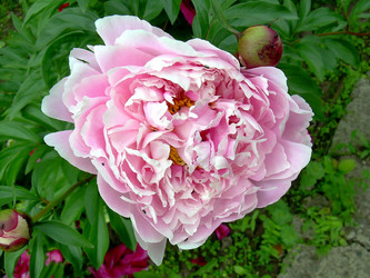 Similar image 21807877