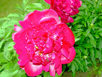 Similar image 21807878