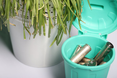 Similar image 21807895