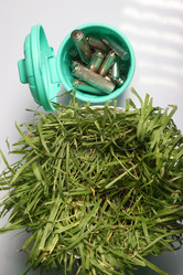 Similar image 21807896