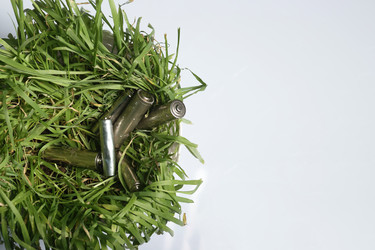 Similar image 21807898