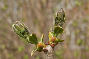 Similar image 21807636