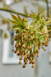 Similar image 21807637