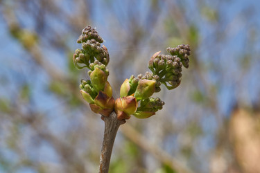 Similar image 21807640