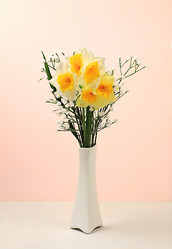 Similar image 21811455