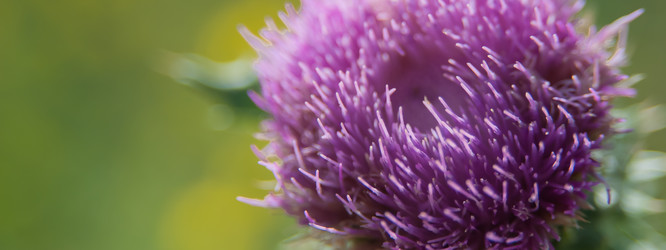 Similar image 21808520