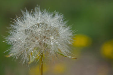 Similar image 21808524