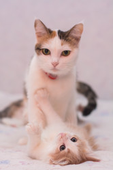 Similar image 21808539