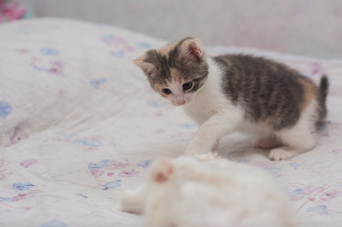 Similar image 21808541