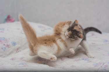 Similar image 21808543