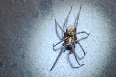 Similar image 21808550