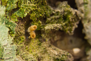 Similar image 21808557