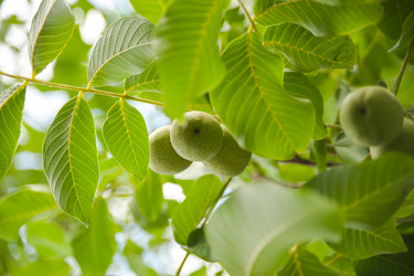 Similar image 21808563