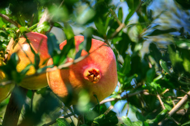 Similar image 21808565