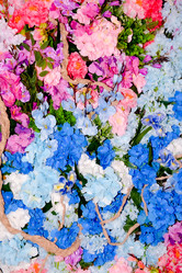 Similar image 21808572