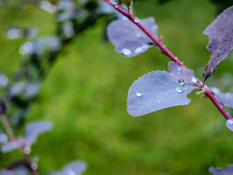 Similar image 21808576