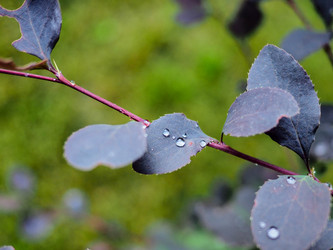 Similar image 21808578