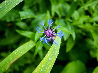 Similar image 21808579