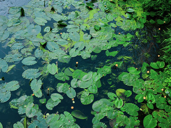 Similar image 21808582