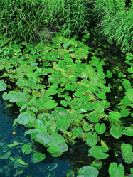 Similar image 21808583