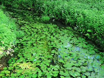 Similar image 21808584