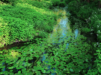 Similar image 21808585