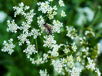 Similar image 21808586