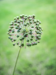 Similar image 21808587