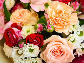 Similar image 21808588