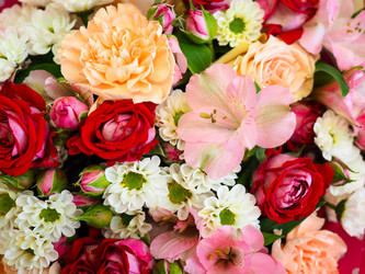 Similar image 21808589