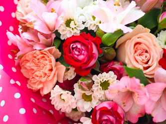 Similar image 21808590