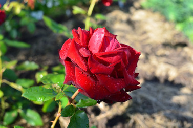 Similar image 21807940