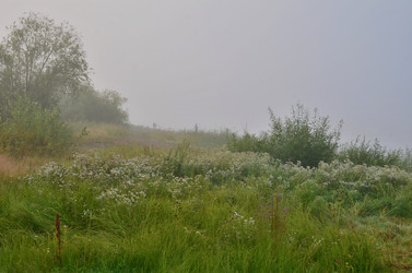 Similar image 21807955