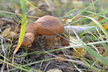 Similar image 21807965