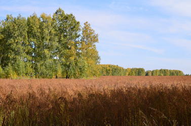 Similar image 21807968