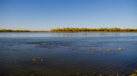 Similar image 21807972