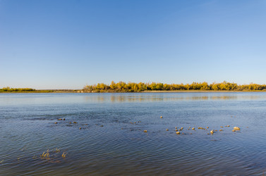 Similar image 21807974